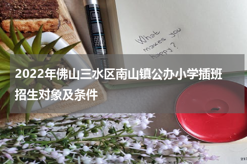 2022年佛山三水区南山镇公办小学插班招生对象及条件