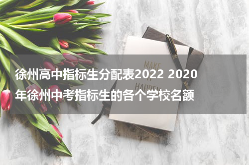 徐州高中指标生分配表2022 2020年徐州中考指标生的各个学校名额