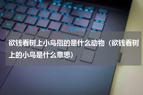 欲钱看树上小鸟指的是什么动物（欲钱看树上的小鸟是什么意思）