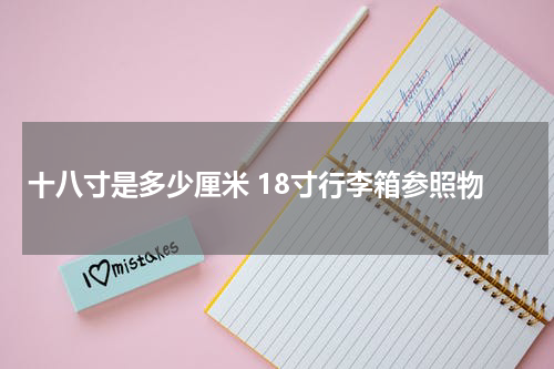 十八寸是多少厘米 18寸行李箱参照物