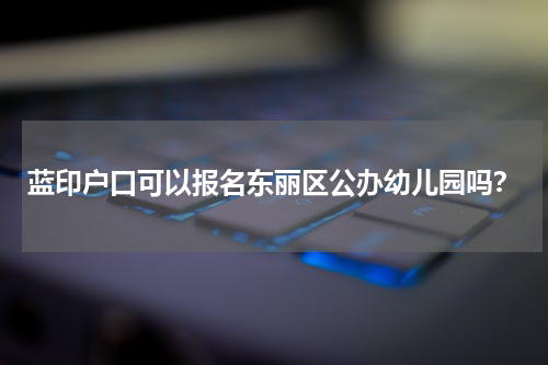蓝印户口可以报名东丽区公办幼儿园吗？
