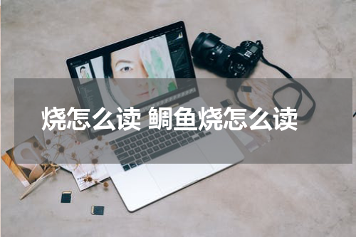 烧怎么读 鲷鱼烧怎么读