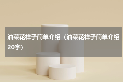 油菜花样子简单介绍（油菜花样子简单介绍20字）