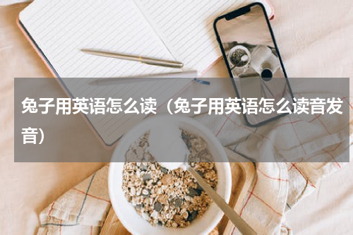 兔子用英语怎么读（兔子用英语怎么读音发音）