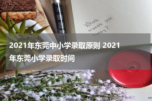 2021年东莞中小学录取原则 2021年东莞小学录取时间