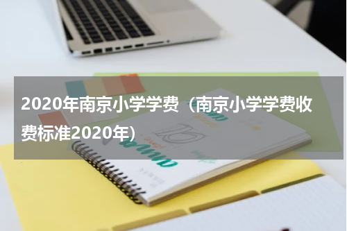 2020年南京小学学费（南京小学学费收费标准2020年）