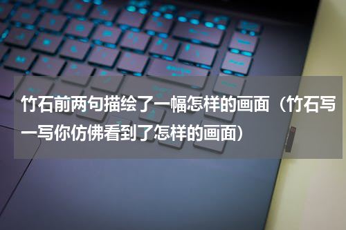 竹石前两句描绘了一幅怎样的画面（竹石写一写你仿佛看到了怎样的画面）