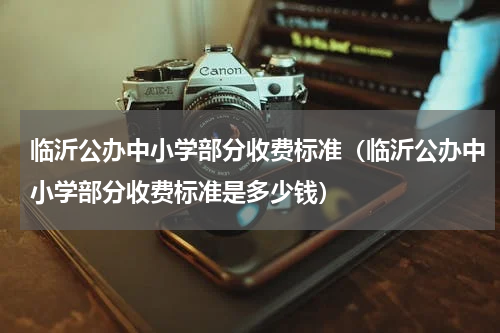 临沂公办中小学部分收费标准（临沂公办中小学部分收费标准是多少钱）