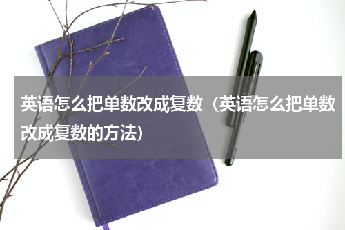 英语怎么把单数改成复数（英语怎么把单数改成复数的方法）