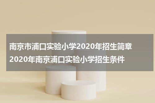 南京市浦口实验小学2020年招生简章 2020年南京浦口实验小学招生条件