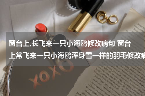窗台上,长飞来一只小海鸥修改病句 窗台上常飞来一只小海鸥浑身雪一样的羽毛修改病句