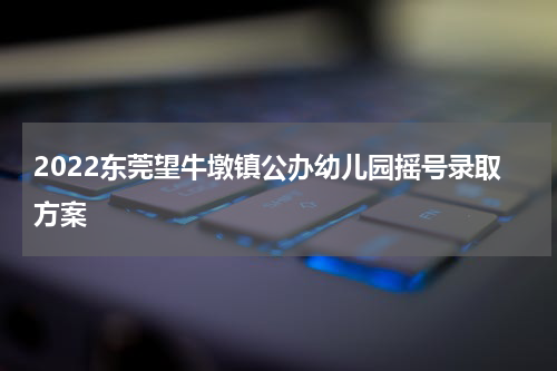 2022东莞望牛墩镇公办幼儿园摇号录取方案