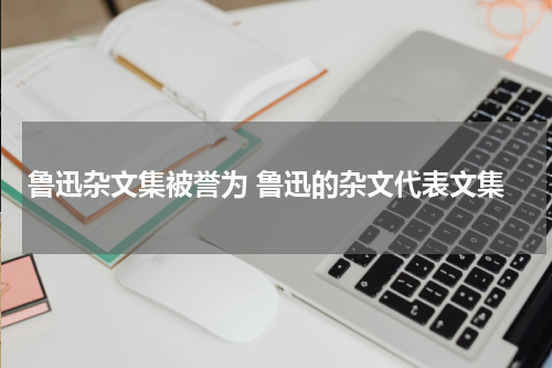 鲁迅杂文集被誉为 鲁迅的杂文代表文集