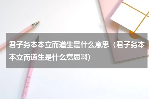 君子务本本立而道生是什么意思（君子务本本立而道生是什么意思啊）