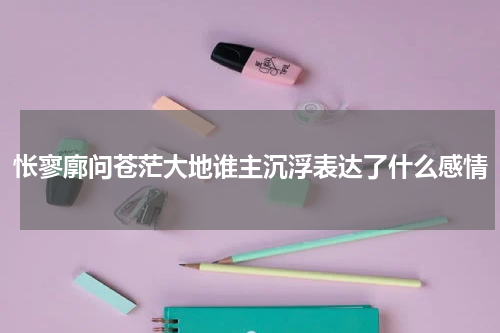 怅寥廓问苍茫大地谁主沉浮表达了什么感情