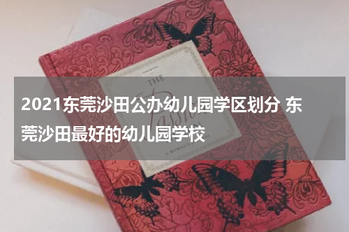 2021东莞沙田公办幼儿园学区划分 东莞沙田最好的幼儿园学校