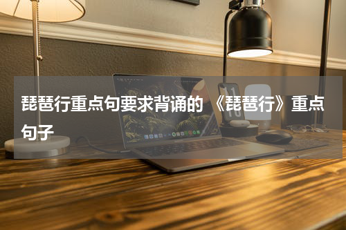 琵琶行重点句要求背诵的 《琵琶行》重点句子
