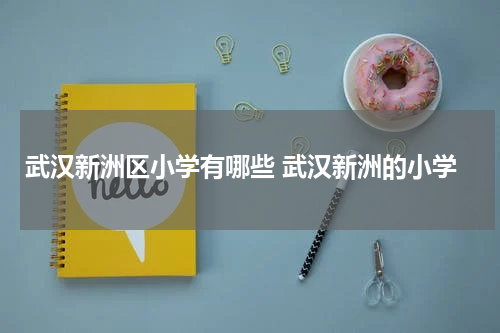 武汉新洲区小学有哪些 武汉新洲的小学