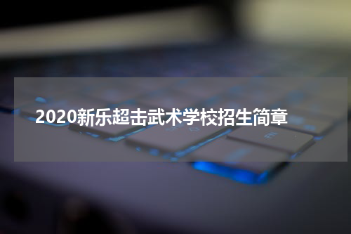 2020新乐超击武术学校招生简章