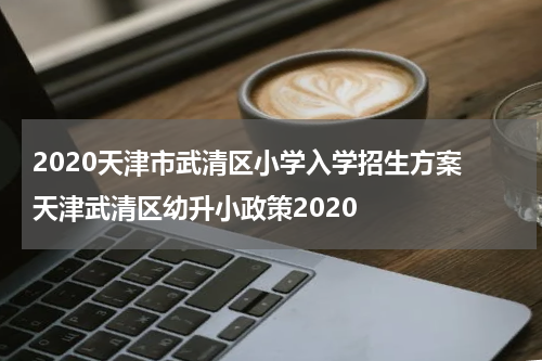 2020天津市武清区小学入学招生方案 天津武清区幼升小政策2020