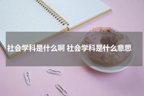 社会学科是什么啊 社会学科是什么意思