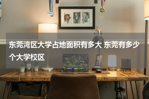 东莞湾区大学占地面积有多大 东莞有多少个大学校区