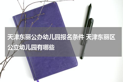 天津东丽公办幼儿园报名条件 天津东丽区公立幼儿园有哪些
