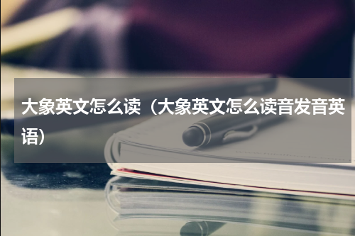 大象英文怎么读（大象英文怎么读音发音英语）