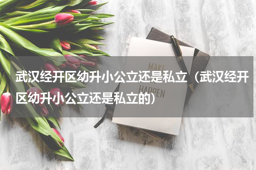 武汉经开区幼升小公立还是私立（武汉经开区幼升小公立还是私立的）