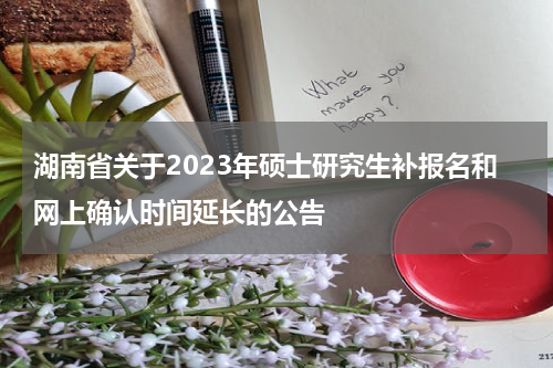 湖南省关于2023年硕士研究生补报名和网上确认时间延长的公告