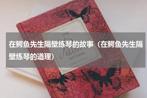 在鳄鱼先生隔壁练琴的故事（在鳄鱼先生隔壁练琴的道理）