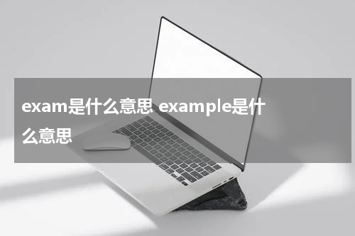 exam是什么意思 example是什么意思