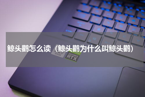 鲸头鹳怎么读（鲸头鹳为什么叫鲸头鹳）