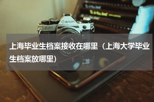 上海毕业生档案接收在哪里（上海大学毕业生档案放哪里）