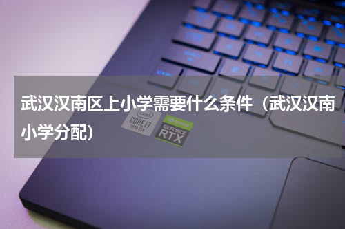 武汉汉南区上小学需要什么条件（武汉汉南小学分配）