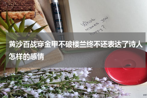 黄沙百战穿金甲不破楼兰终不还表达了诗人怎样的感情