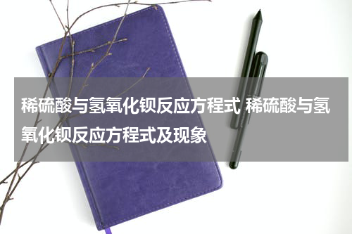 稀硫酸与氢氧化钡反应方程式 稀硫酸与氢氧化钡反应方程式及现象