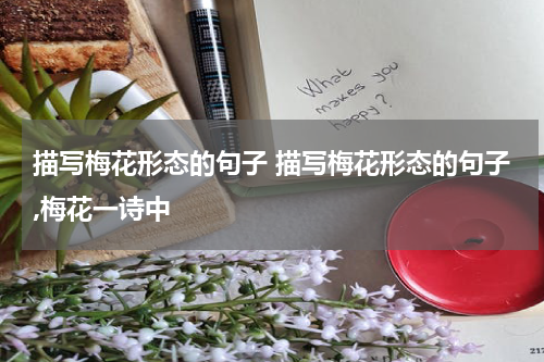 描写梅花形态的句子 描写梅花形态的句子,梅花一诗中