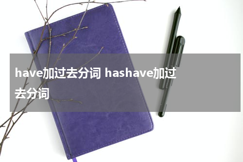 have加过去分词 hashave加过去分词