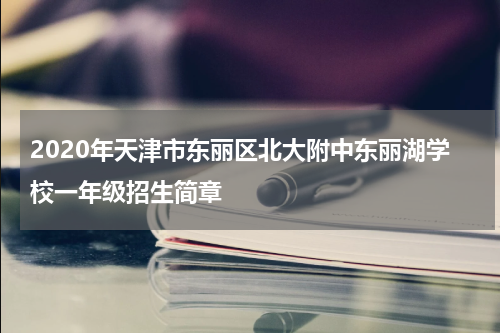 2020年天津市东丽区北大附中东丽湖学校一年级招生简章
