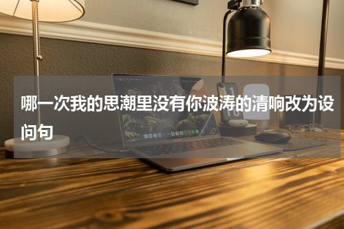 哪一次我的思潮里没有你波涛的清响改为设问句