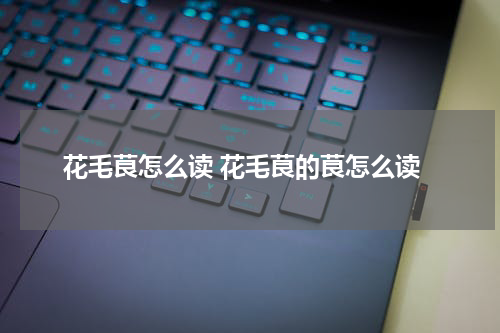 花毛茛怎么读 花毛茛的茛怎么读