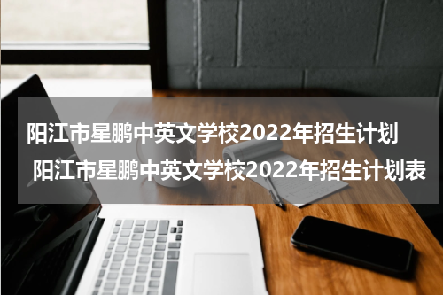 阳江市星鹏中英文学校2022年招生计划 阳江市星鹏中英文学校2022年招生计划表