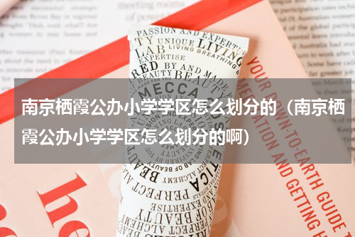 南京栖霞公办小学学区怎么划分的（南京栖霞公办小学学区怎么划分的啊）