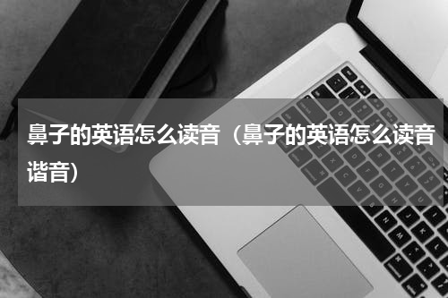 鼻子的英语怎么读音（鼻子的英语怎么读音谐音）