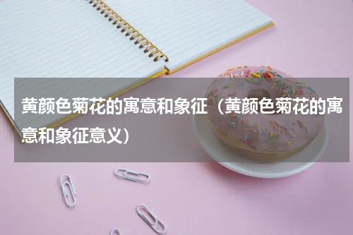 黄颜色菊花的寓意和象征（黄颜色菊花的寓意和象征意义）