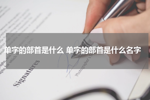 单字的部首是什么 单字的部首是什么名字