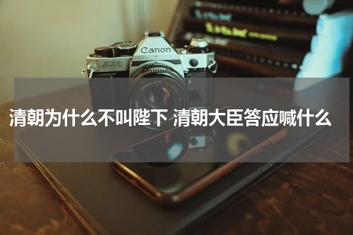 清朝为什么不叫陛下 清朝大臣答应喊什么