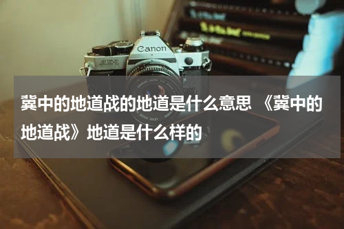 冀中的地道战的地道是什么意思 《冀中的地道战》地道是什么样的