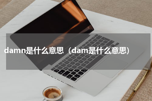 damn是什么意思（dam是什么意思）